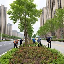 2026美加墨世界杯官网 林州绿化和市容工程站